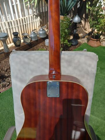 גיטרה Eko Ranger Vintage