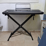 אורגנית korg PA 300