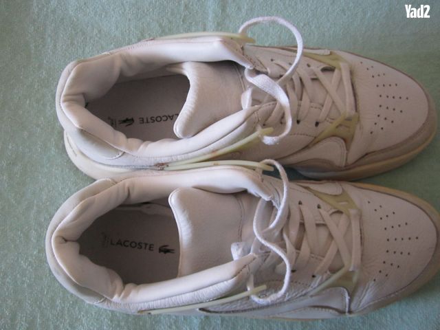נעלי הסניקרס LACOSTE