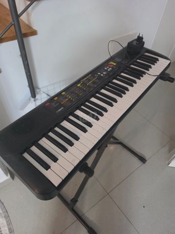 אורגן ימאה