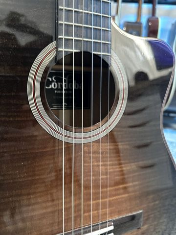 גיטרת Córdoba Fusion 12