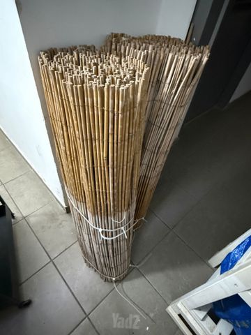 במבוק מושחל