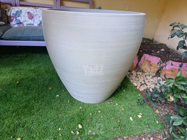 אדנית גדולה