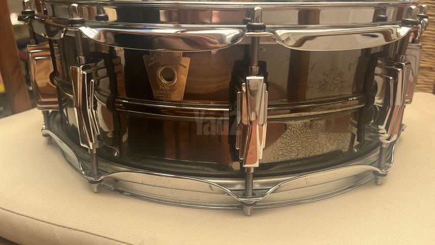 ludwig black beauty