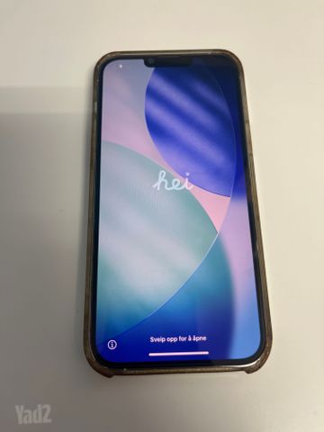 iPhone 13 Pro Max 1TB