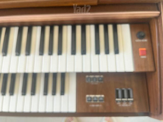 אורגן  ימאהה  fe-30 electone
