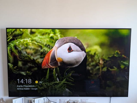 טלוויזיית LG OLED 77