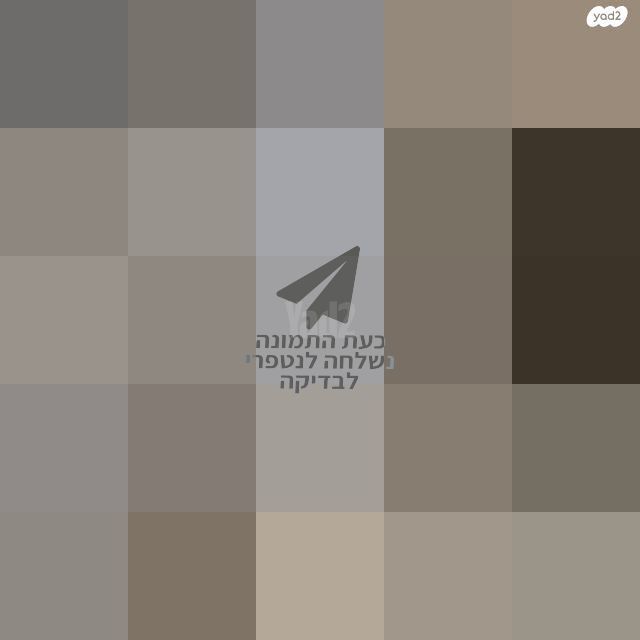 מראה גדולה