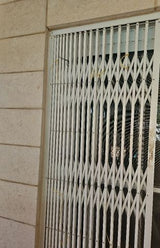 סורג טרלידור
