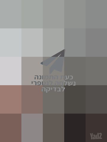 מצלמה קנון