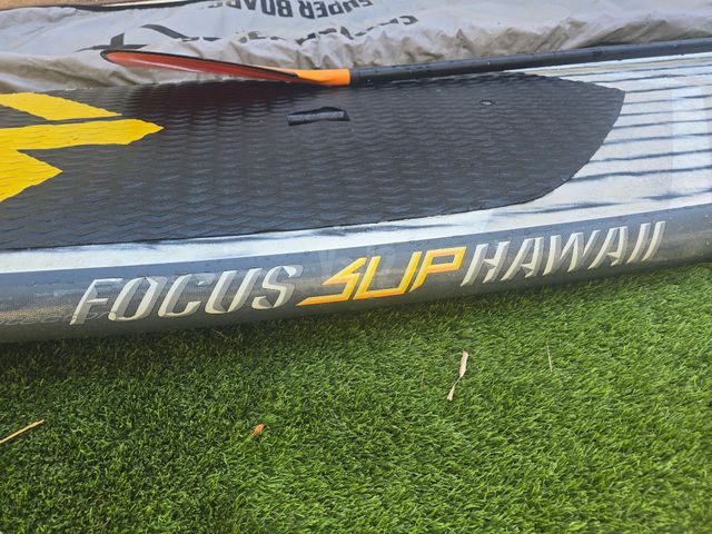 סאפ של חברת FOCUS ACT
