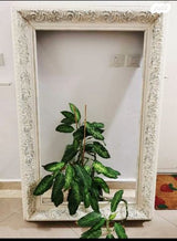 מסגרת עץ ענקית יפיפייה