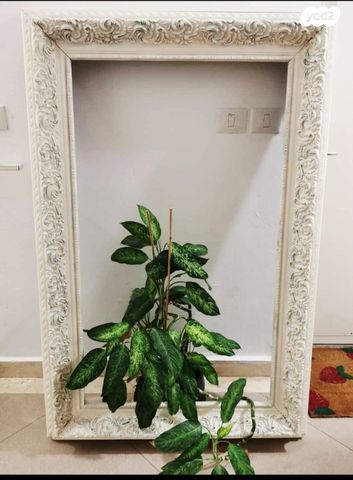 מסגרת עץ ענקית יפיפייה