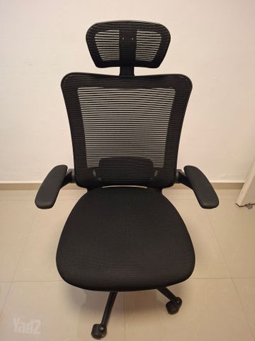 כיסא ד''ר גב