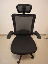 כיסא ד''ר גב