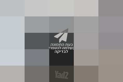 עגלת בוגבו B6
