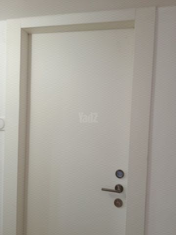 דלתות פנים