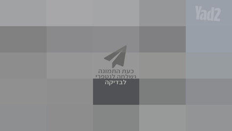 נגן סייס 3