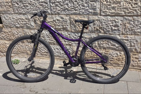 אופני Trek Skye