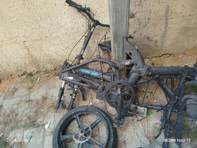 שילדה