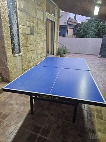 שולחן פינג פונג