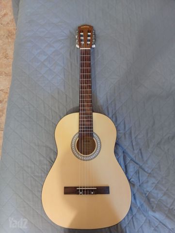 גיטרה CASCHA HH2136