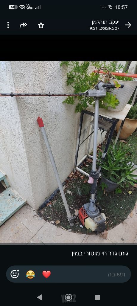 גוזם