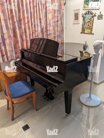 פסנתר כנף