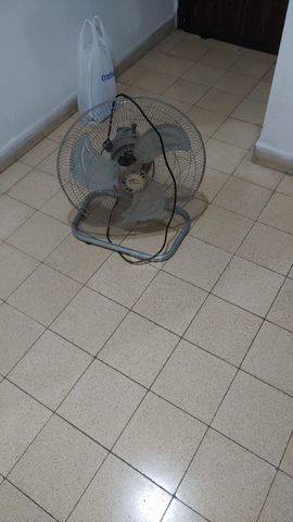 מאוורר ריצפתי