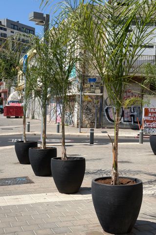 אדניות ועציצים