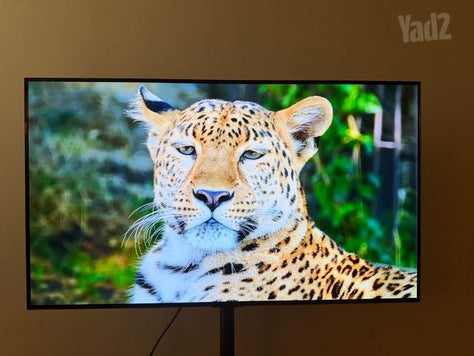 LG OLED 48