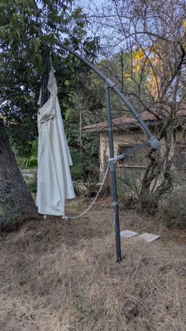 צילייה