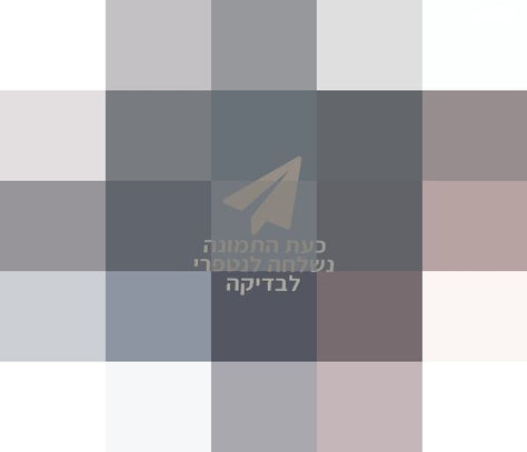 השכרת הגברה וציוד לאירועים