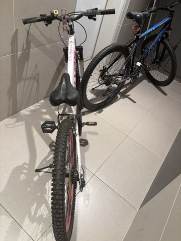 אופני הרים RANGER 26
