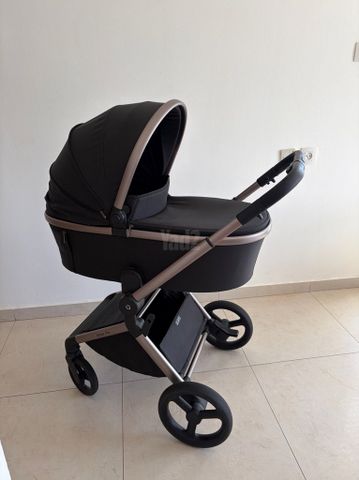 עגלת תינוק Anex Flo