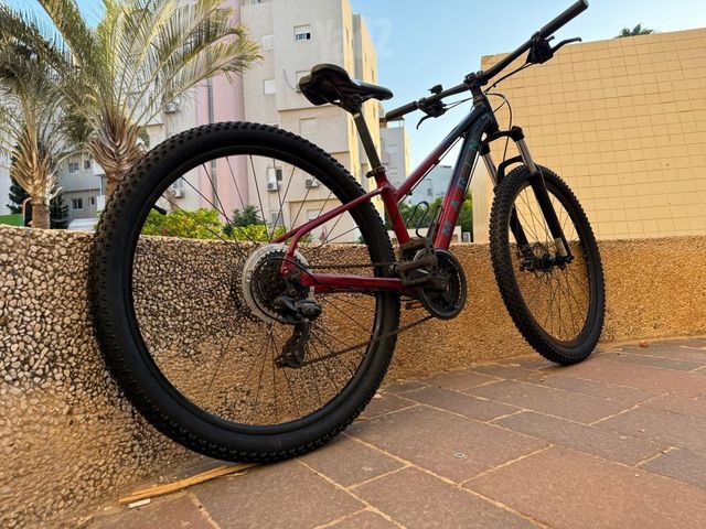 אופניים marin wildcat