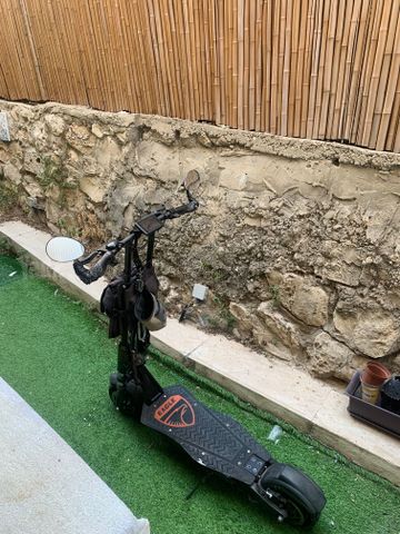 איגל גוניור