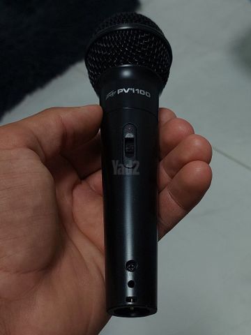 Peavey PVi 100