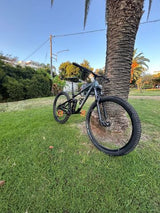 Marin rift zone 2 2022
