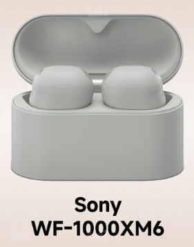 Sony WF-100xm6