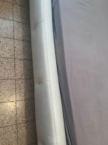 מיטה