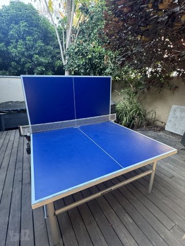 טניס שולחן