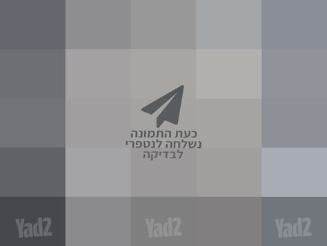 מפיץ ריח