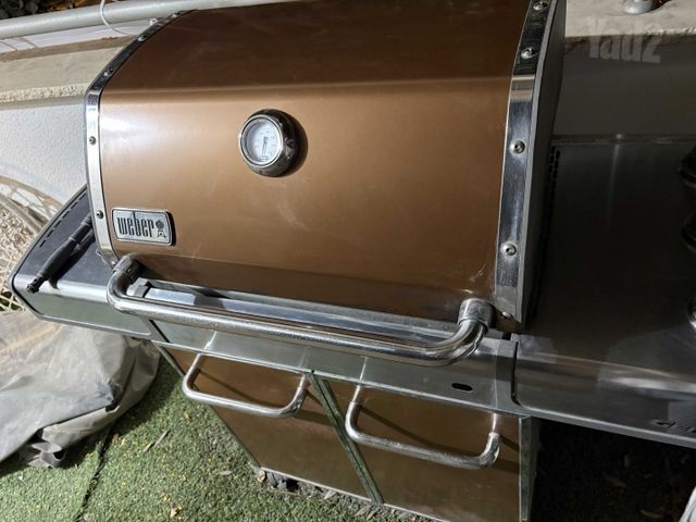 מנגל גז Weber genesis