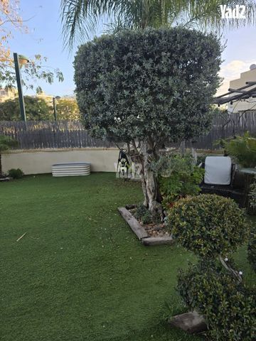 עץ זית יפיוף