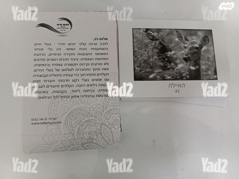 קלפי אימון חיות