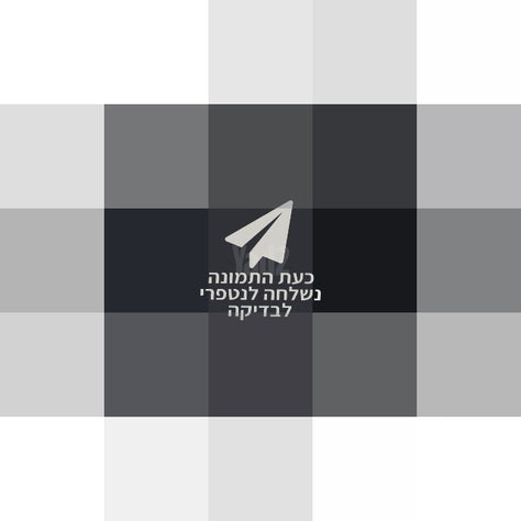 מצלמת 80D