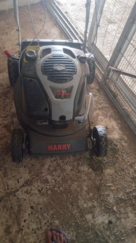 מכסחת harry מתנייעת