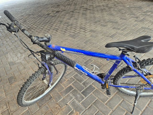 אופנים