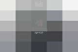 קופה רושמת